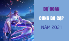 Dự đoán 12 cung hoàng đạo năm 2021: Bọ Cạp vượng tài lộc, tình duyên nở hoa