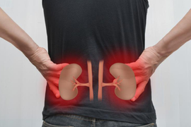 Vì sao sỏi thận gây đau lưng?