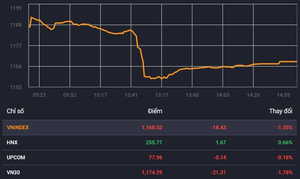 Chứng khoán bị bán tháo mạnh nhất từ sau Tết