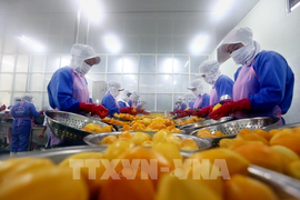 Việt Nam lần đầu lọt nhóm có Chỉ số Tự do kinh tế trung bình