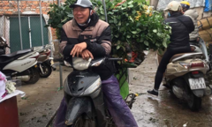 Hoa hồng tăng giá gấp 5, dân buôn tranh mua, nhà vườn cháy hàng