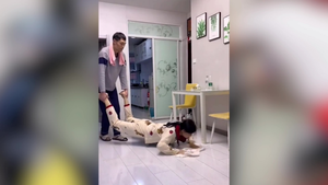 Chết cười xem cây lau nhà di động chạy bằng cơm