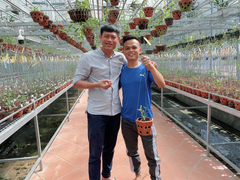 Vườn hoa lan ở Lâm Đông gây sốt với những giống hoa đột biến tiền tỷ