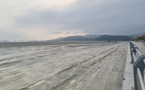 Doanh nghiệp tự ý đổ đất lấn vịnh Bái Tử Long: Xem xét trách nhiệm các cơ quan