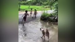 Clip: 4 cậu nhóc chạy tóe khói vì trêu chó