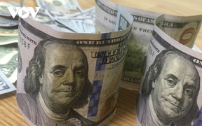 Tỷ giá USD hôm nay 11/3: USD suy giảm