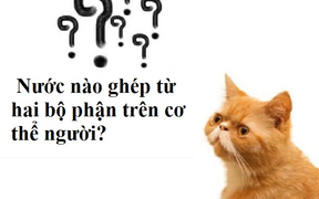 Đố mẹo: Tên nước nào ghép từ hai bộ phận cơ thể người?