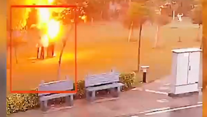 Video: Trú mưa dưới gốc cây, bốn người đàn ông bị sét đánh 