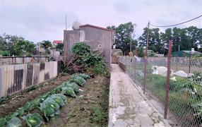 Chồng sát hại vợ và con gái 7 tuổi ở Hà Nội: Lộ nguyên nhân gây án