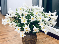 Hoa loa kèn đầu mùa vừa đắt vừa hiếm, chị em Hà Nội vẫn tới tấp lùng mua