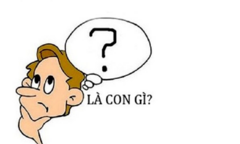 Đố mẹo: Con gì có lưỡi, có mũi nhưng không có đầu?