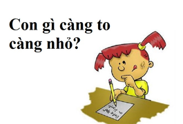 Đố mẹo 2 giây: Con gì càng to càng nhỏ?