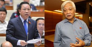 Ông Dương Trung Quốc, Lưu Bình Nhưỡng không ứng cử đại biểu Quốc hội khoá XV