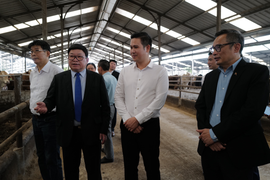 Ông Phạm Văn Tam ra mắt thương hiệu phân bón hữu cơ 'Ba Con Bò'