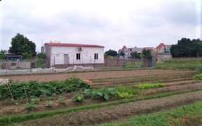 Sát hại vợ và con gái 7 tuổi, gã chồng trầm cảm có thể nhận hình phạt nào?