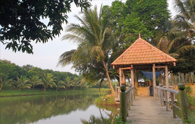 Bổ nhiệm lại Giám đốc lâm trường từng bị phát hiện lấn chiếm đất rừng