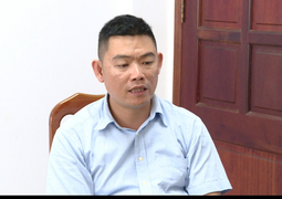 Bắt giám đốc công ty của dự án 'vẽ' trên ruộng muối