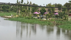 Lấp gần 2.000m2 rạch để xây nhà hàng tiệc cưới khiến dân bức xúc