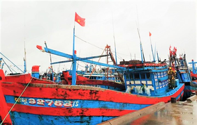 Quảng Ngãi cần 400 tỷ để 'giải bài toán' tàu cá thiếu chỗ neo đậu trú bão