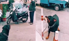 Clip: Trêu phải chó khôn, người đàn ông chạy tóe khói 