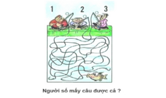 Đố vui thử trí thông minh: Người nào sẽ câu được cá?