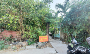 Đền 1m2 đất bằng cân cá nục: Hoãn phiên phúc thẩm vì bị đơn vắng mặt