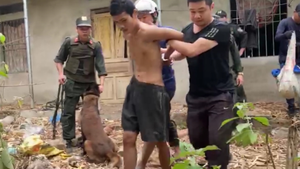 Video: Công an vây bắt kẻ giết người do mâu thuẫn khi lấy mật ong ở Sơn La