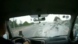 Video: Cô gái lái xe máy ngược chiều, lao thẳng đầu ô tô