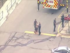 Video: Cảnh sát bắt nghi phạm xả súng làm 10 người chết ở Mỹ