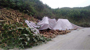 Lật ô tô tải chở keo, 7 người chết: Xe chở quá 5 người