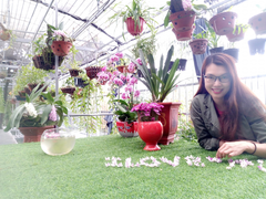 Tâm nguyện mang con chữ đến bản nghèo vùng cao của cô giáo vật lý Thoa Phùng