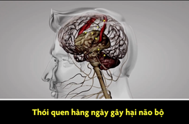 Thói quen hàng ngày gây hại não bộ mà bạn không biết