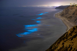 Video: Ngắm sóng phát sáng bên bờ biển đêm tại California