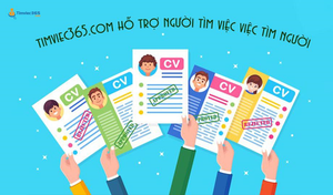 CV online 'chất' xin việc làm IT dễ dàng tại timviec365.com