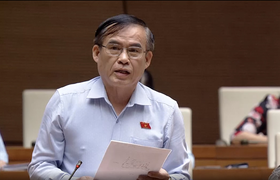 Đại biểu Quốc hội băn khoăn tình trạng 'ăn cây táo, rào cây sung'