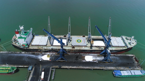 Tuổi 18 PVFCCo: Mùa hoa đẹp nhất