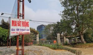 Sốt đất khắp nơi, có nên vay tiền đầu tư?