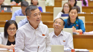 ĐB Nguyễn Lân Hiếu: Tư duy nhiệm kỳ làm kiến nghị giá trị bị rơi vào quên lãng