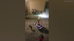 Chú chó 'quẩy' tưng bừng trong buổi lễ