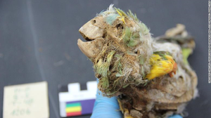 Xác ướp 'há miệng, thè lưỡi' tại sa mạc khô hạn nhất thế giới