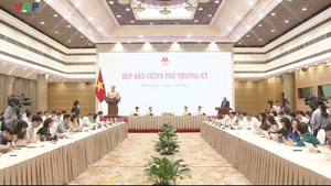 Video: Họp báo Chính phủ thường kỳ tháng 3