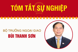 Infographic: Sự nghiệp Bộ trưởng Ngoại giao Bùi Thanh Sơn