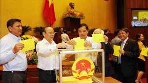 Infographic: Quy trình bầu Chủ tịch nước