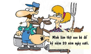 Bò phải chịu trách nhiệm về hôn nhân của chủ