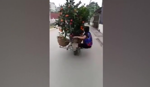 Clip: Quý bà đu xe máy như thùng hàng