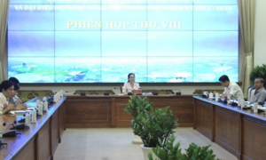 Kết quả lấy phiếu tín nhiệm ứng cử viên ĐBQH, HĐND ở TP.HCM