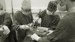 Tin lời quảng cáo dùng thuốc nam chữa bệnh, nhiều người suýt chết