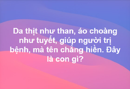 'Da thịt như than, áo choàng như tuyết': Là con gì?