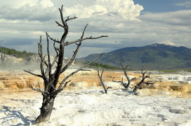 Zone of Death - Nơi người phạm tội giết người có thể không bị trừng phạt