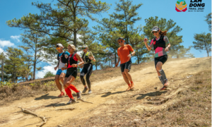 Cả gia đình cùng trải nghiệm Đà Lạt với giải chạy Lâm Đồng Trail 